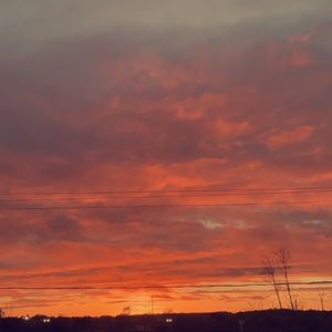 Meet your Posher, Shanelle